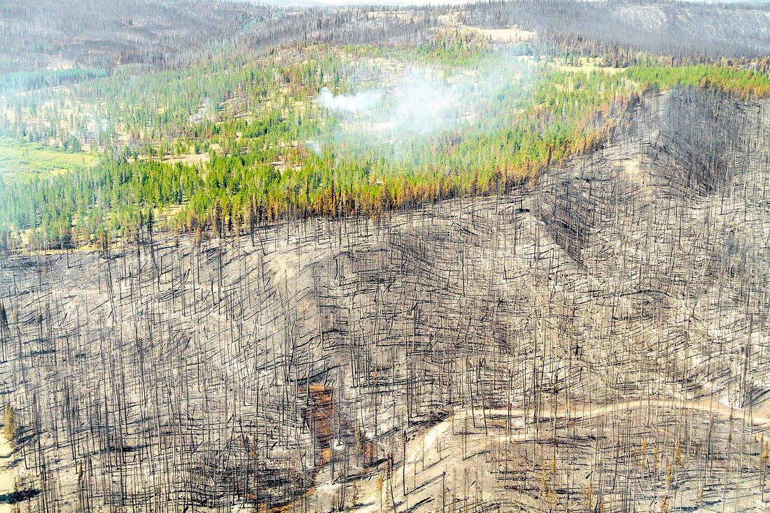 Wyoming wildfire aftermath, August 2016