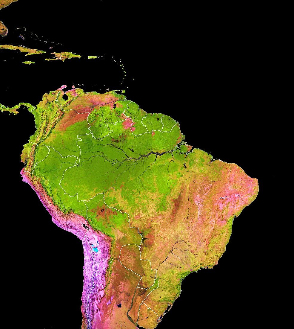 Land cover in and around the Amazon, 2018