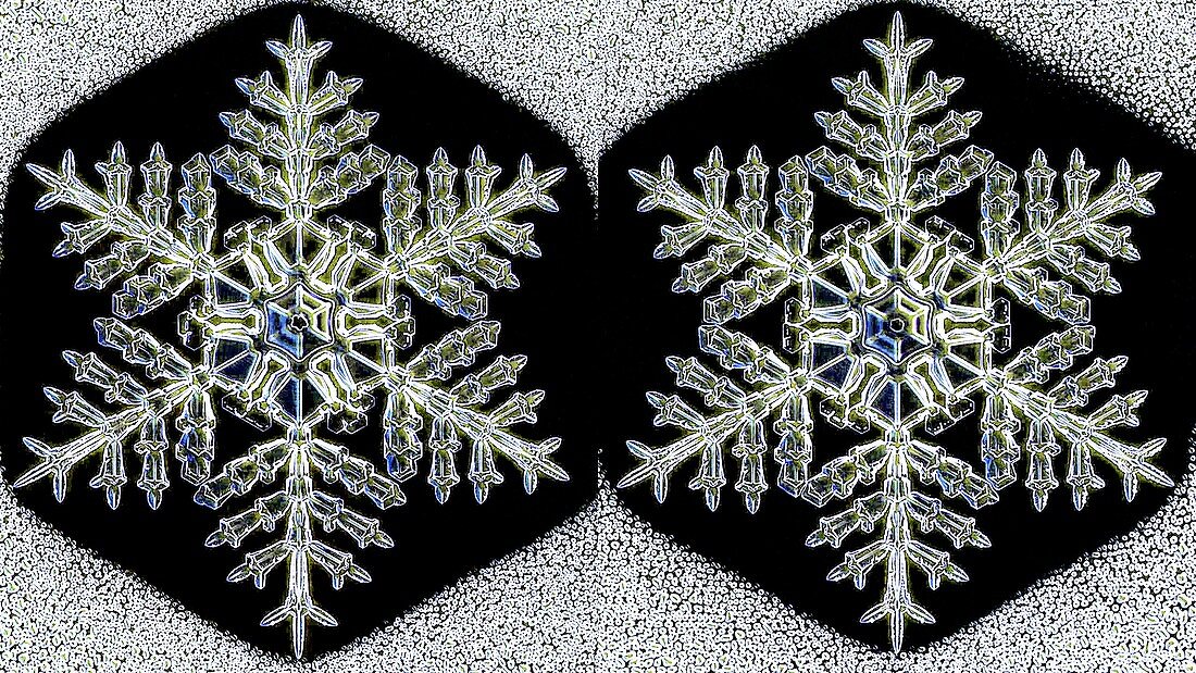 Twin snowflakes