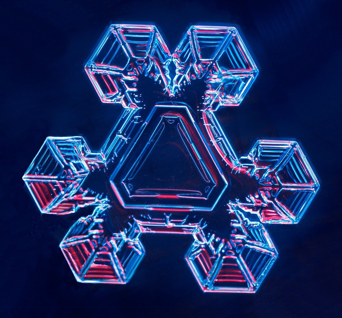 Triangular form snowflake, light micrograph