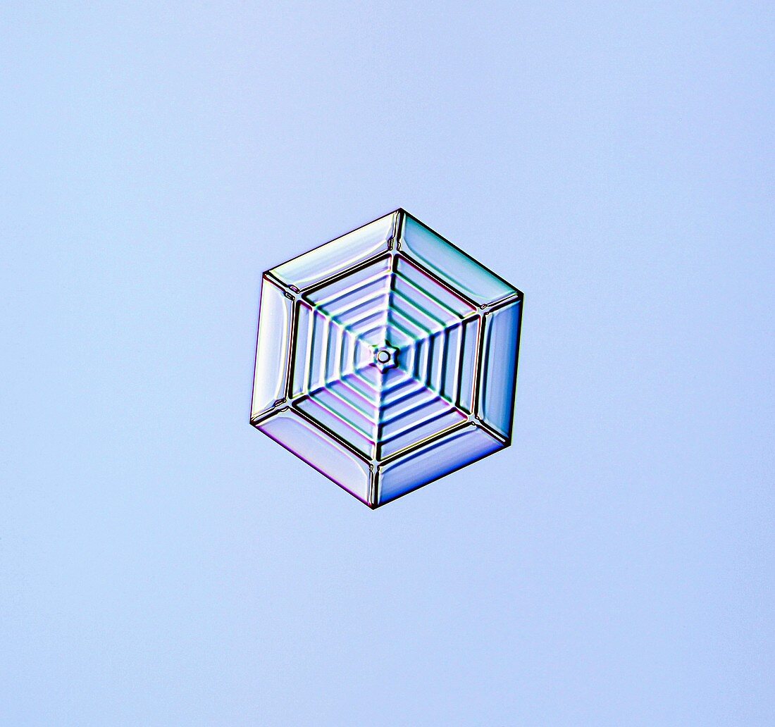 Hexagonal plate snowflake, light micrograph