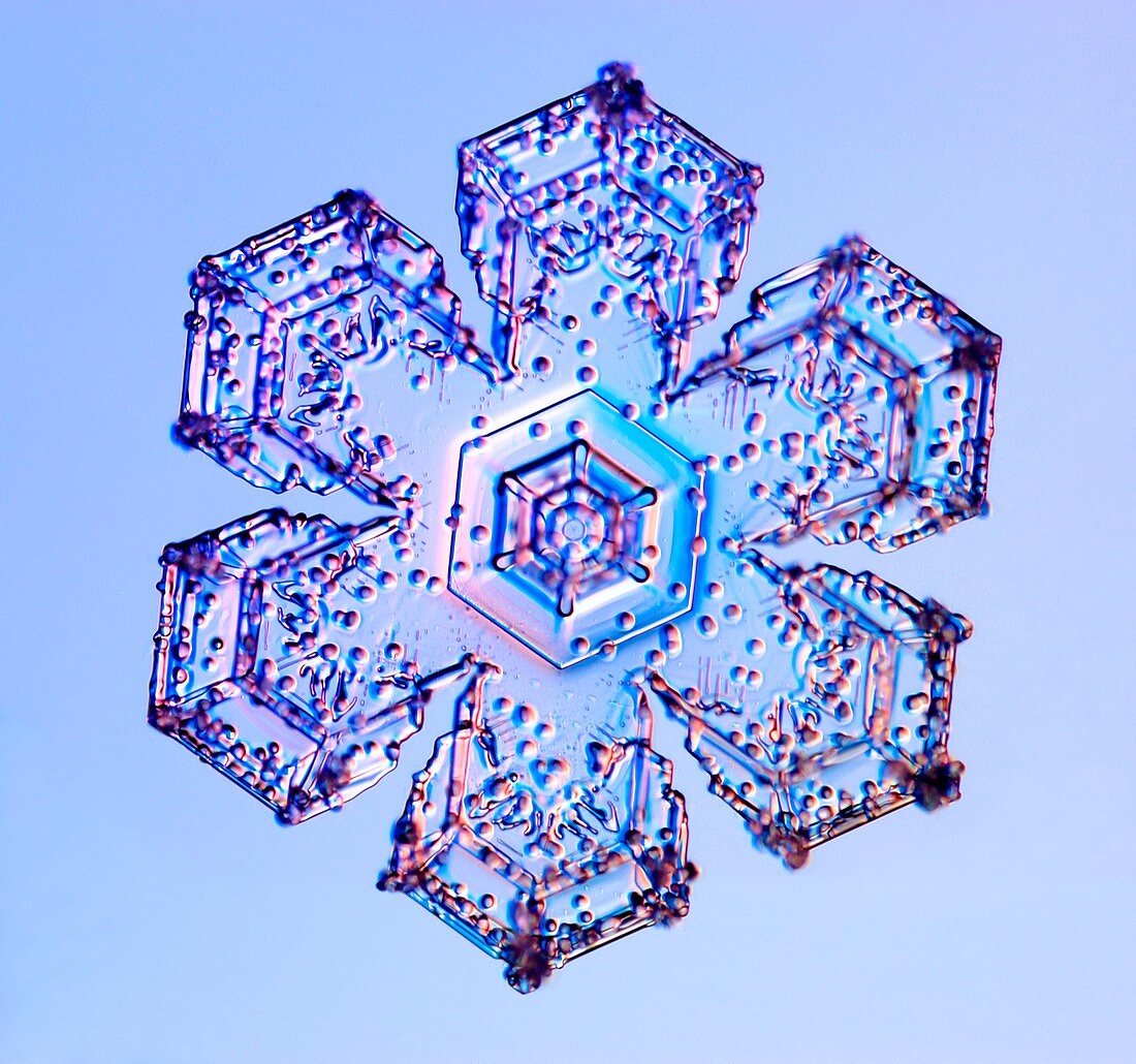 Rimed sectored plate snowflake, light micrograph