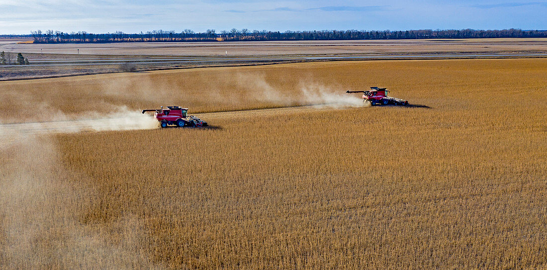 Soya bean harvest, North Dakota, USA