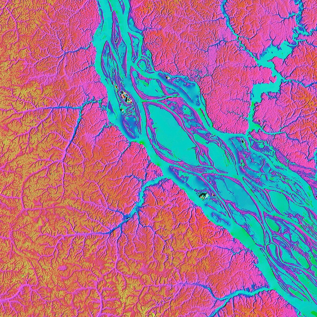 Rio Negro in the Amazon, LiDAR satellite image