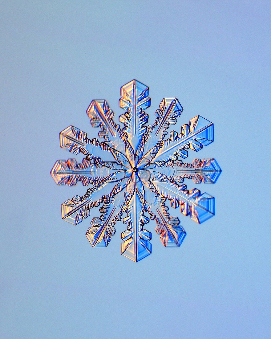 Double snowflake