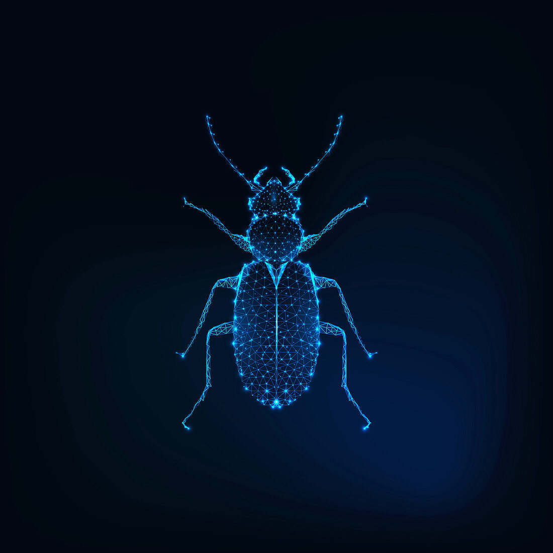 June bug, illustration