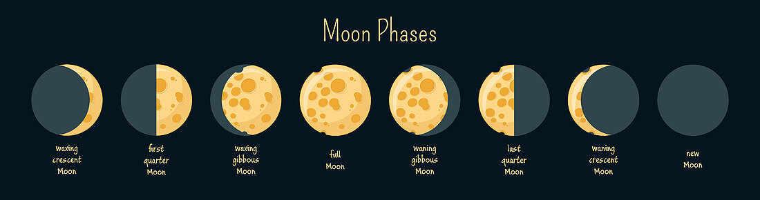 Moon phases, illustration