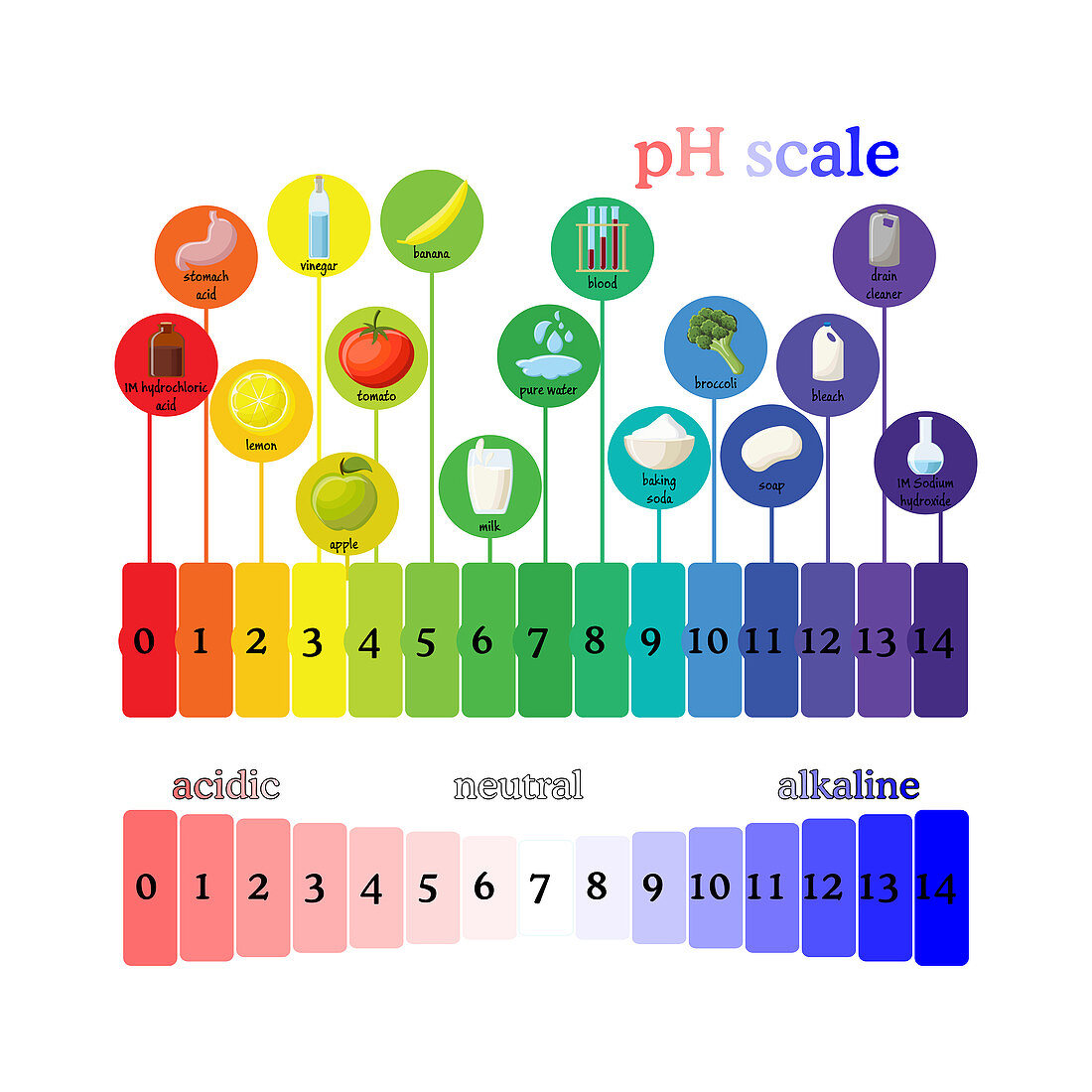 pH scale, illustration