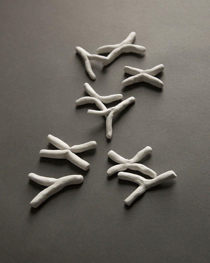 X and Y chromosomes, conceptual image