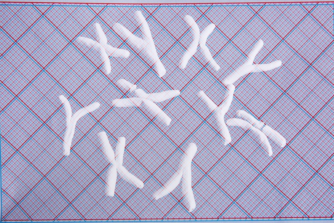 Chromosomes with deletions, conceptual image
