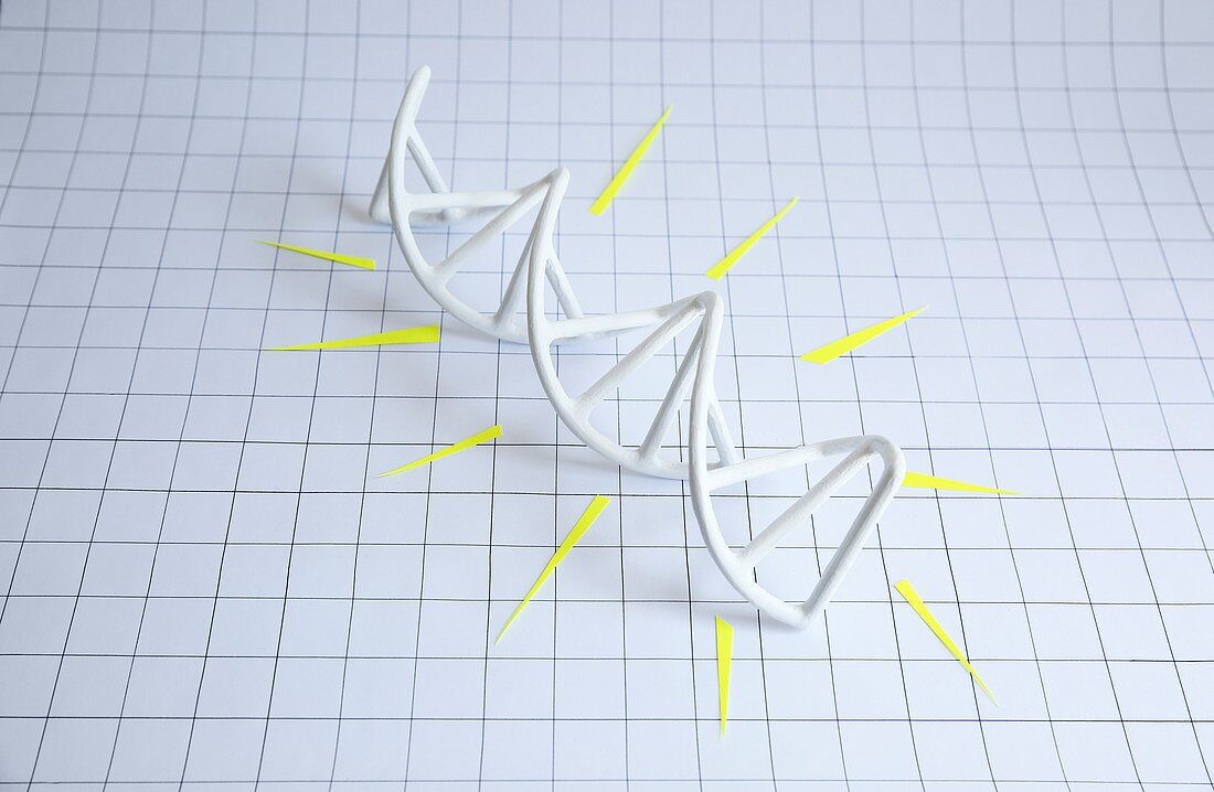 3D printed DNA molecule