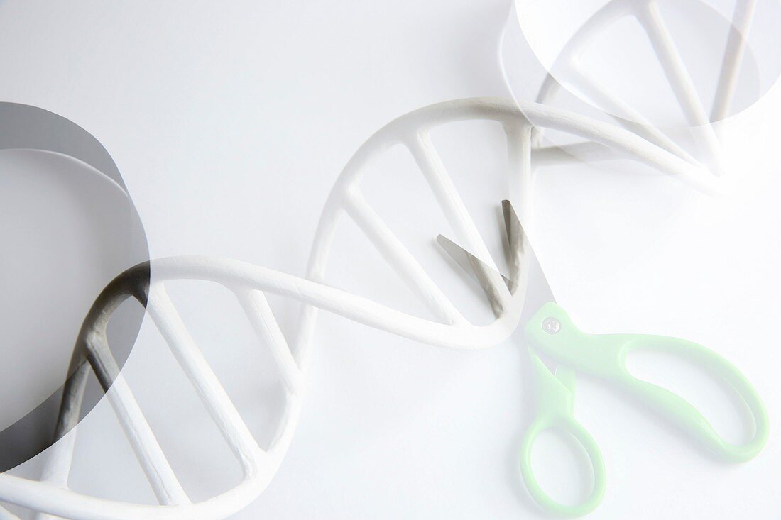 Modifying DNA, conceptual image