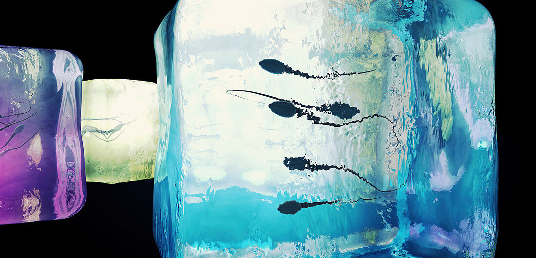 Frozen sperm, conceptual illustration