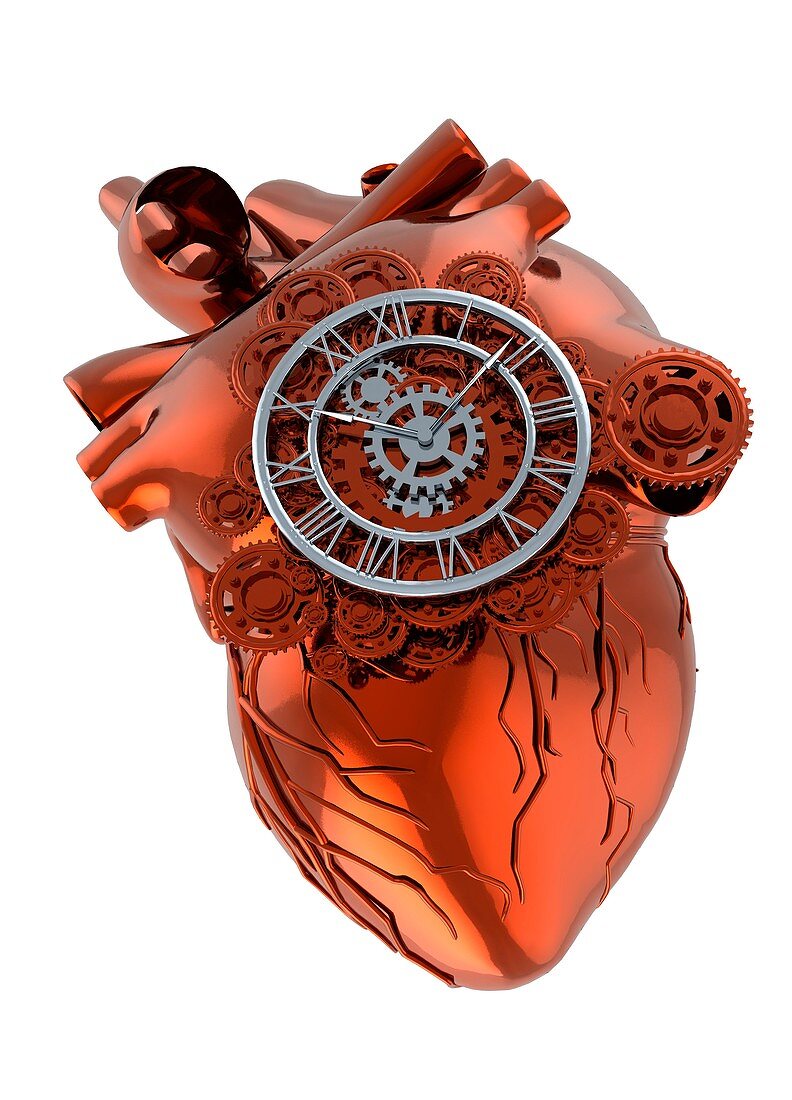 Heart and cogs, illustration