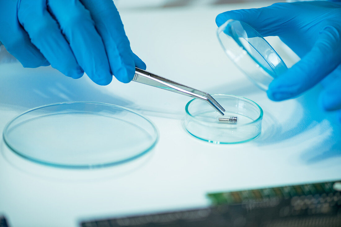 Laboratory technician working with chip implants