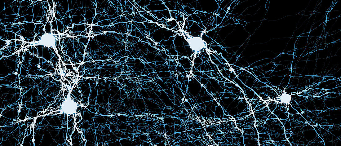 Neural network, illustration