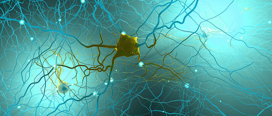 Neural network, illustration