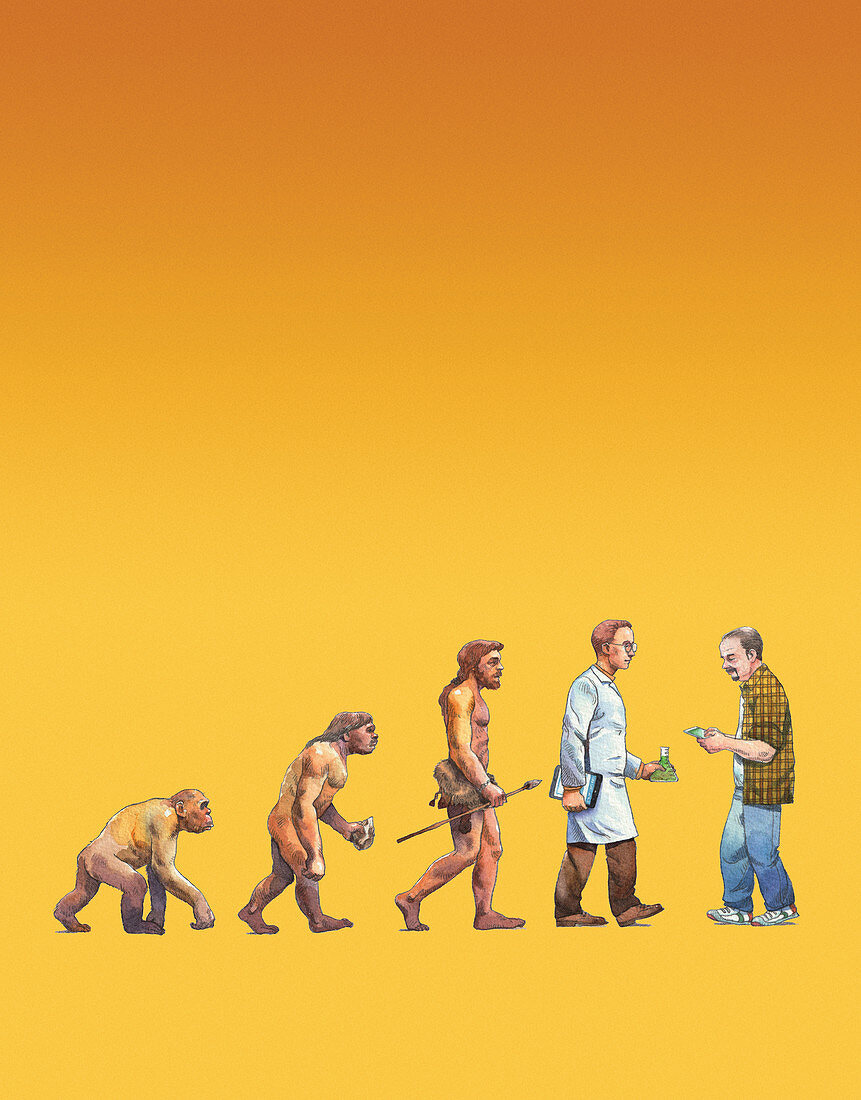 Backward step in human evolution,illustration