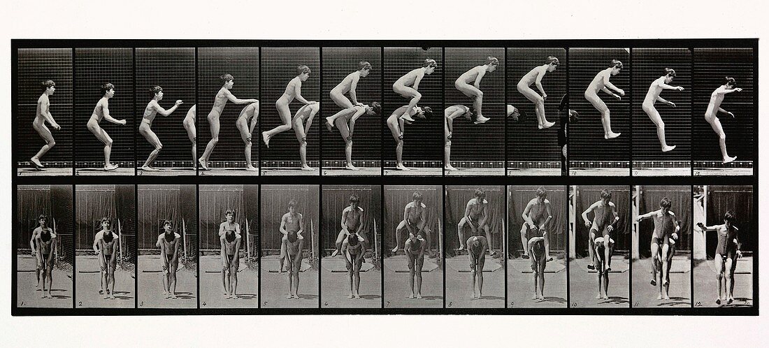 Boys playing leap frog, Muybridge motion study, 1880s