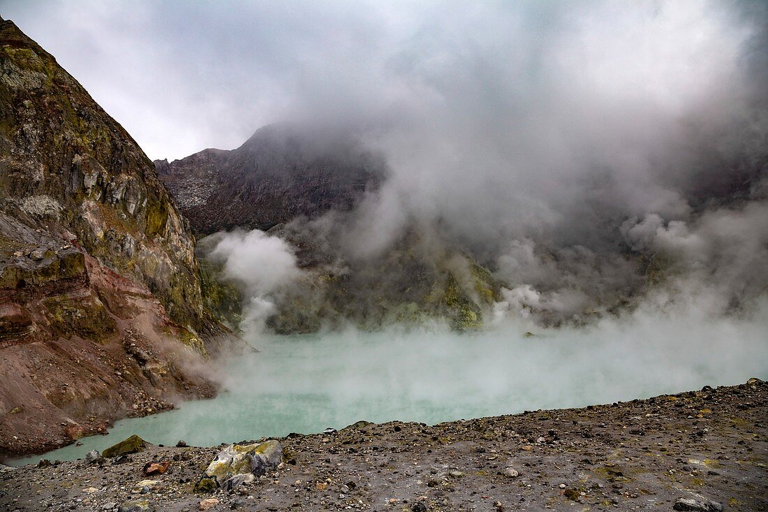 Whakaari volcano geothermal area,New Zealand
