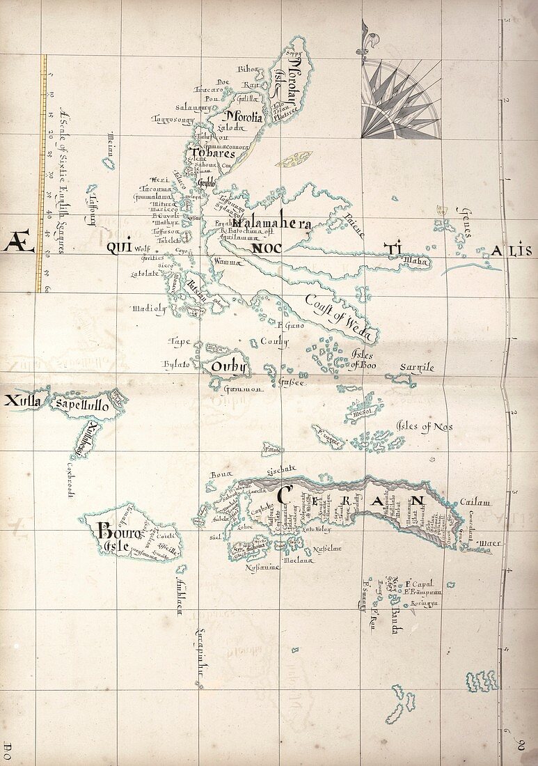 Map of the Maluku Islands,17th century