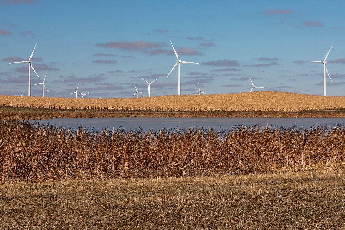 Windfarm,North Dakota,USA
