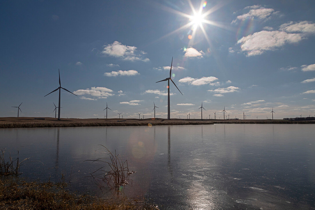 Windfarm,North Dakota,USA