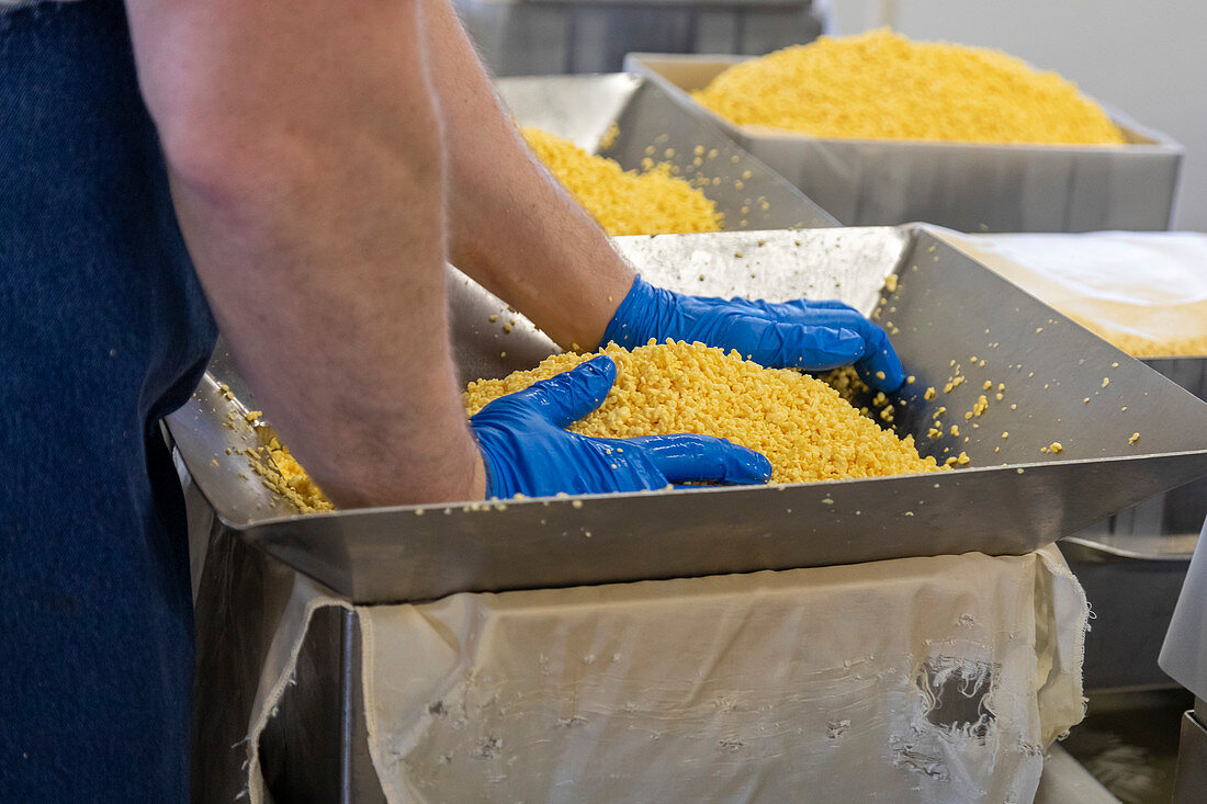 Cheese factory,Wisconsin,USA