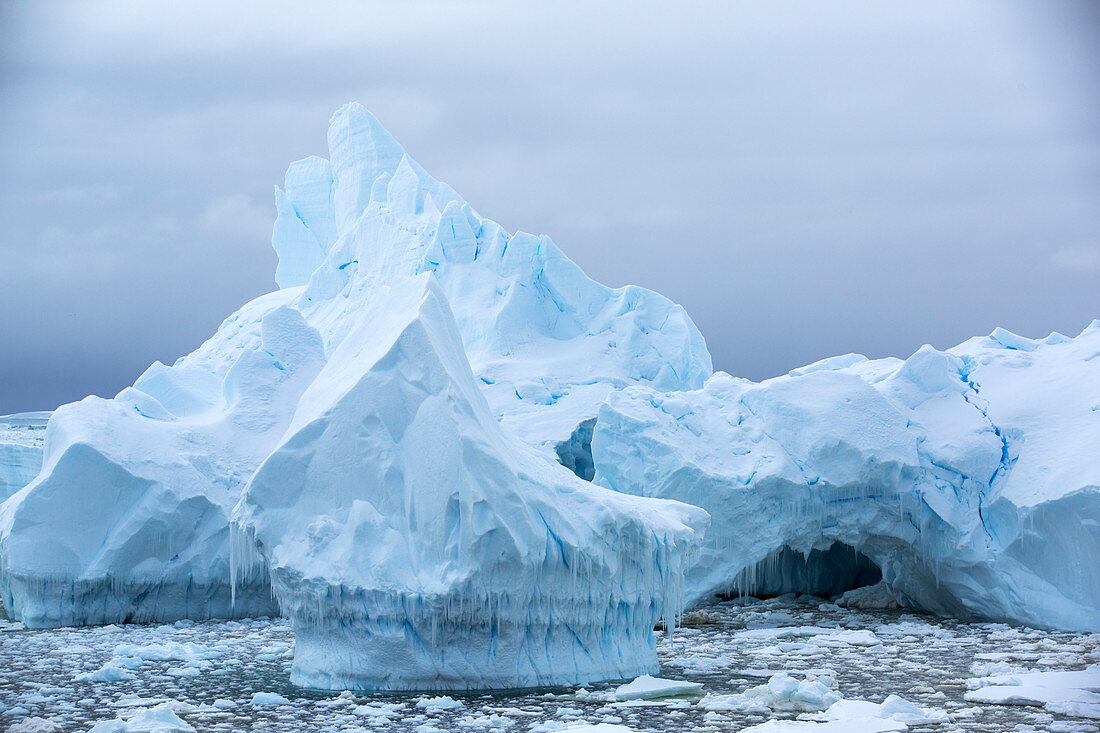 Melting sea ice and icebergs