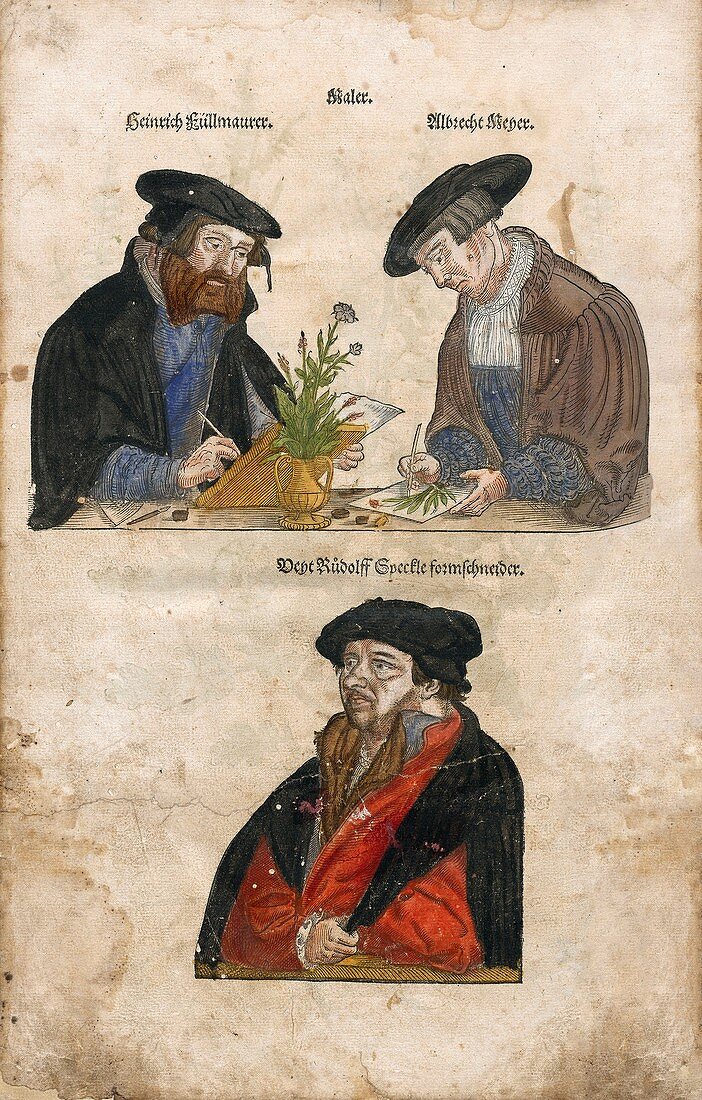 German botanical illustrators Fullmaurer,Meyer and Speckle