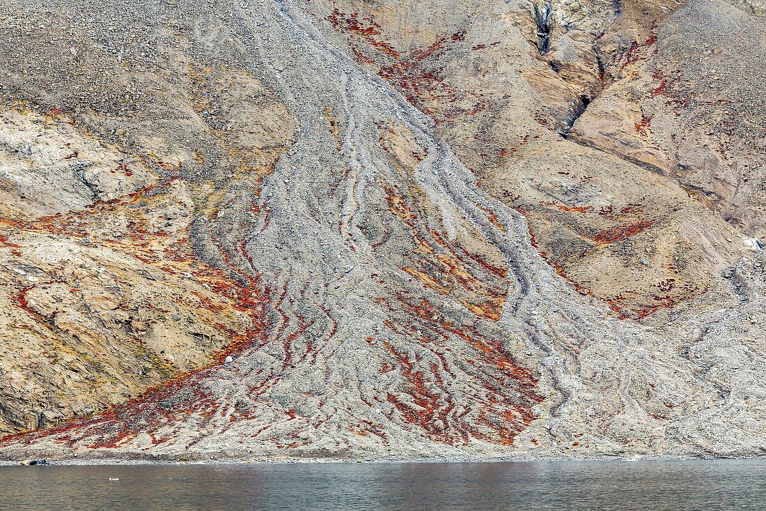 Debris flow deposit,East Greenland