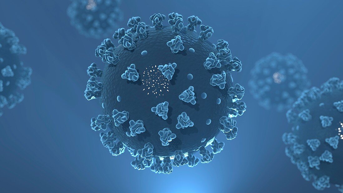 SARS virus particles,illustration