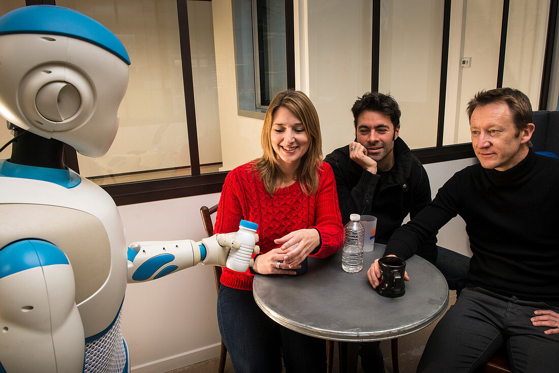 Romeo robot assistant with human friends