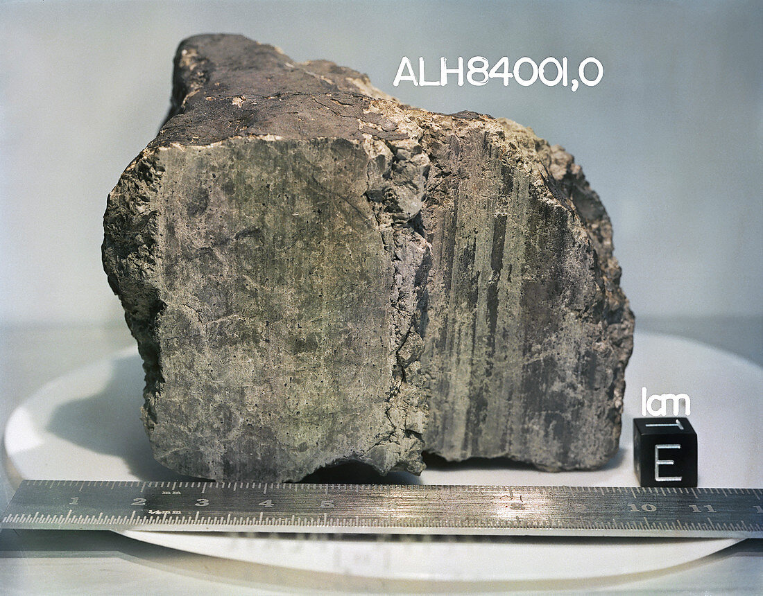 Martian meteorite ALH 84001