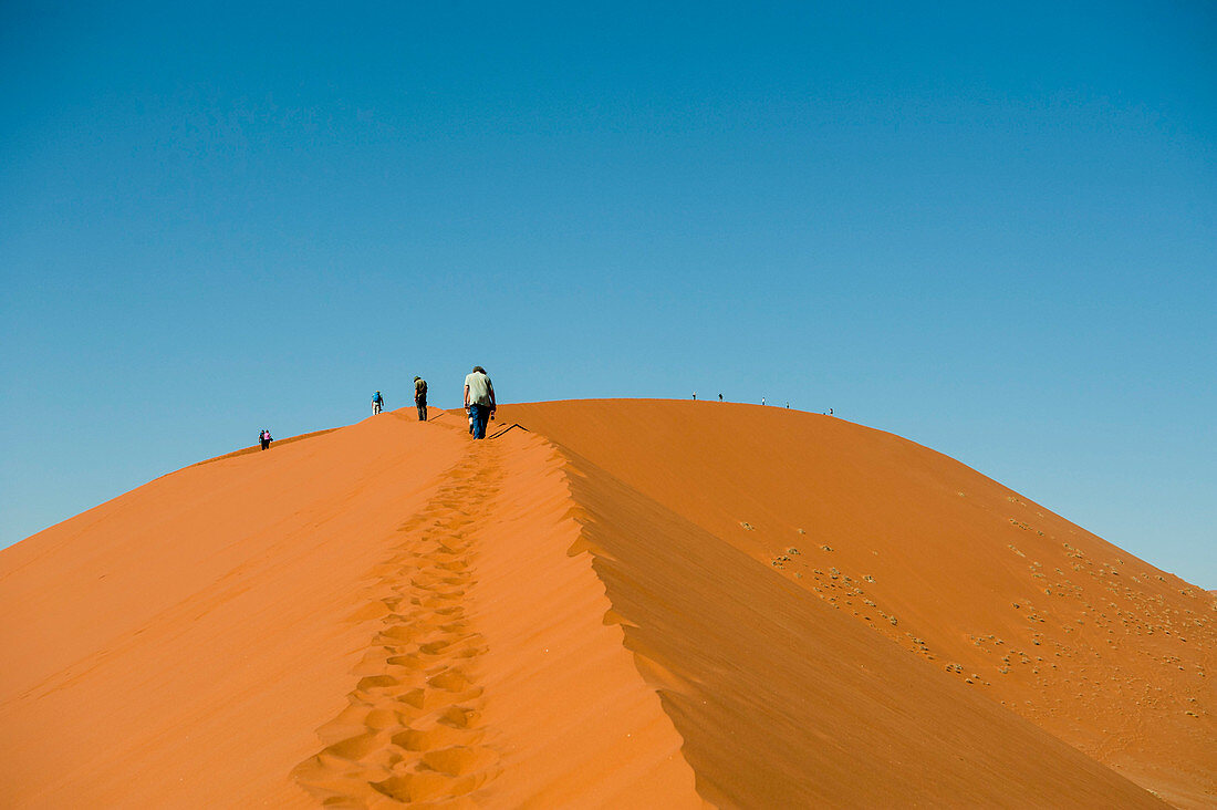 Namib-Naukluft National Park, Namibia