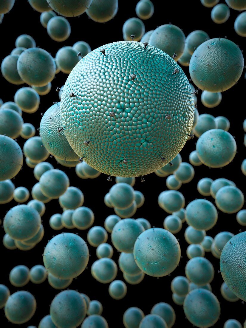 Microbubbles,illustration
