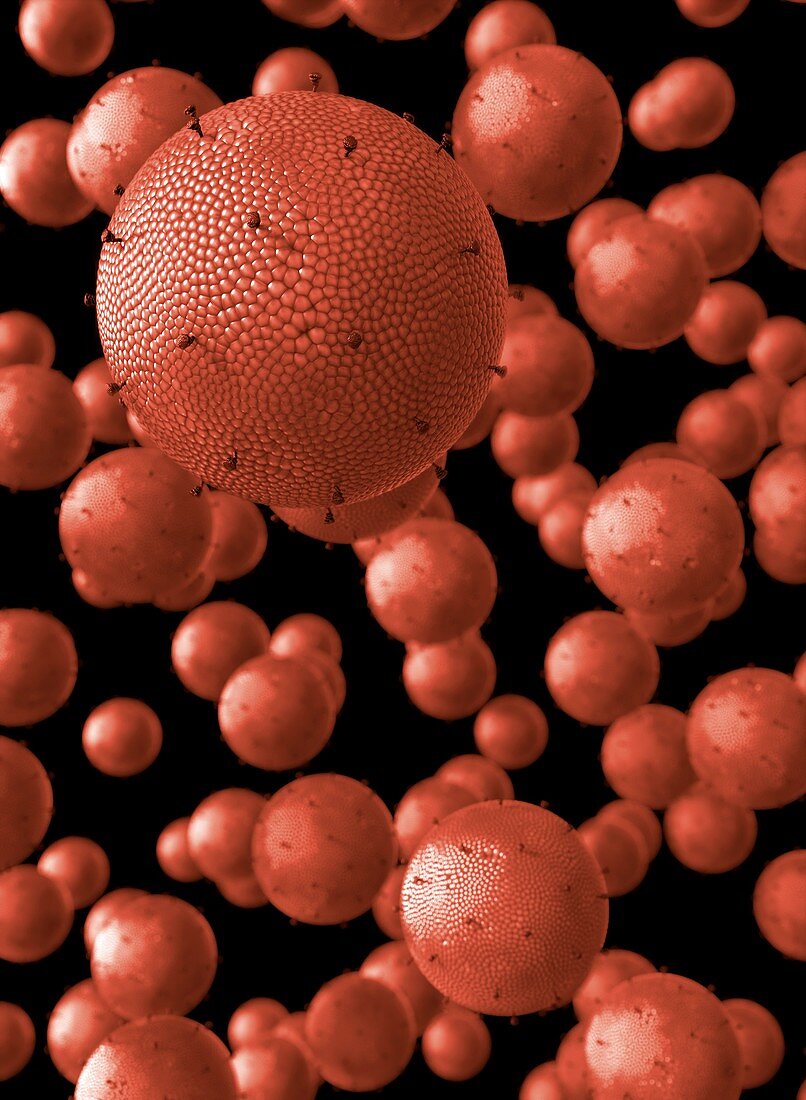 Microbubbles,illustration