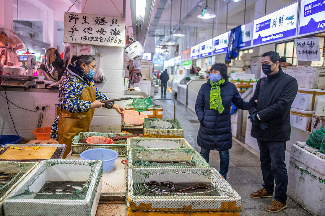 Food market during Covid-19 outbreak in China, 2020