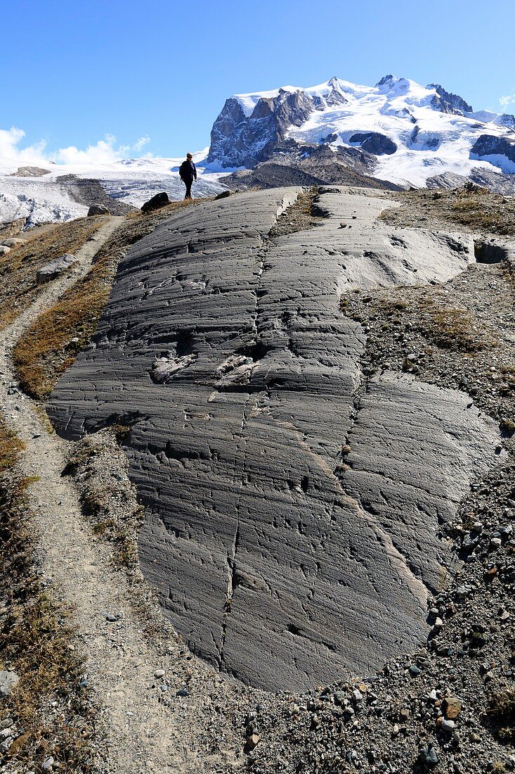 Striated bedrock and Monte Rosa