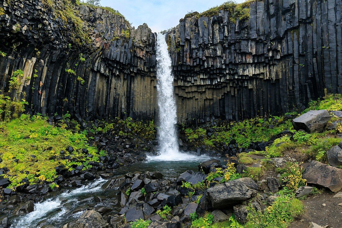 Waterfall and basalt columns