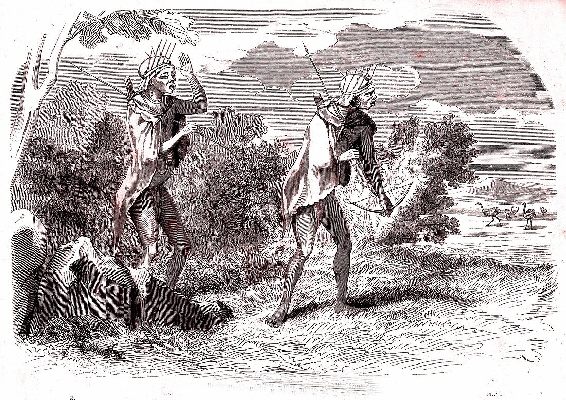 San hunters,19th Century illustration
