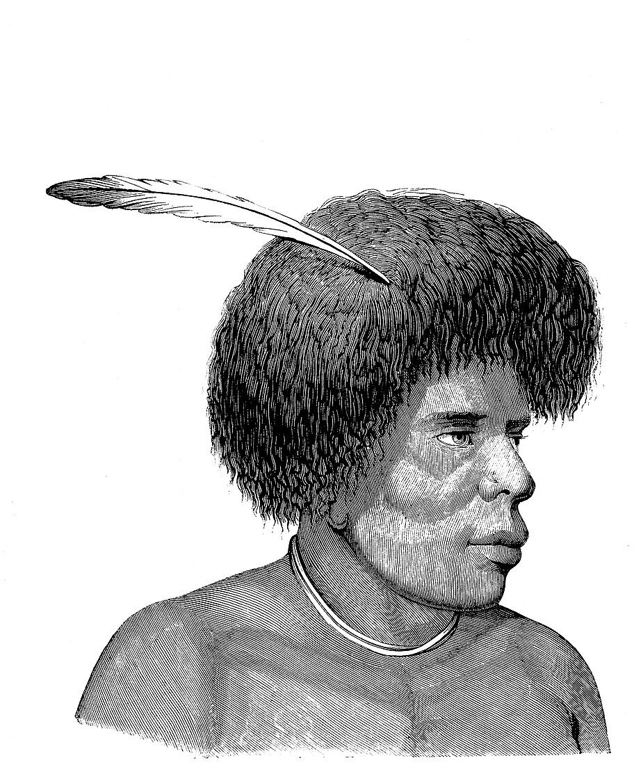 Fijian man,19th Century illustration