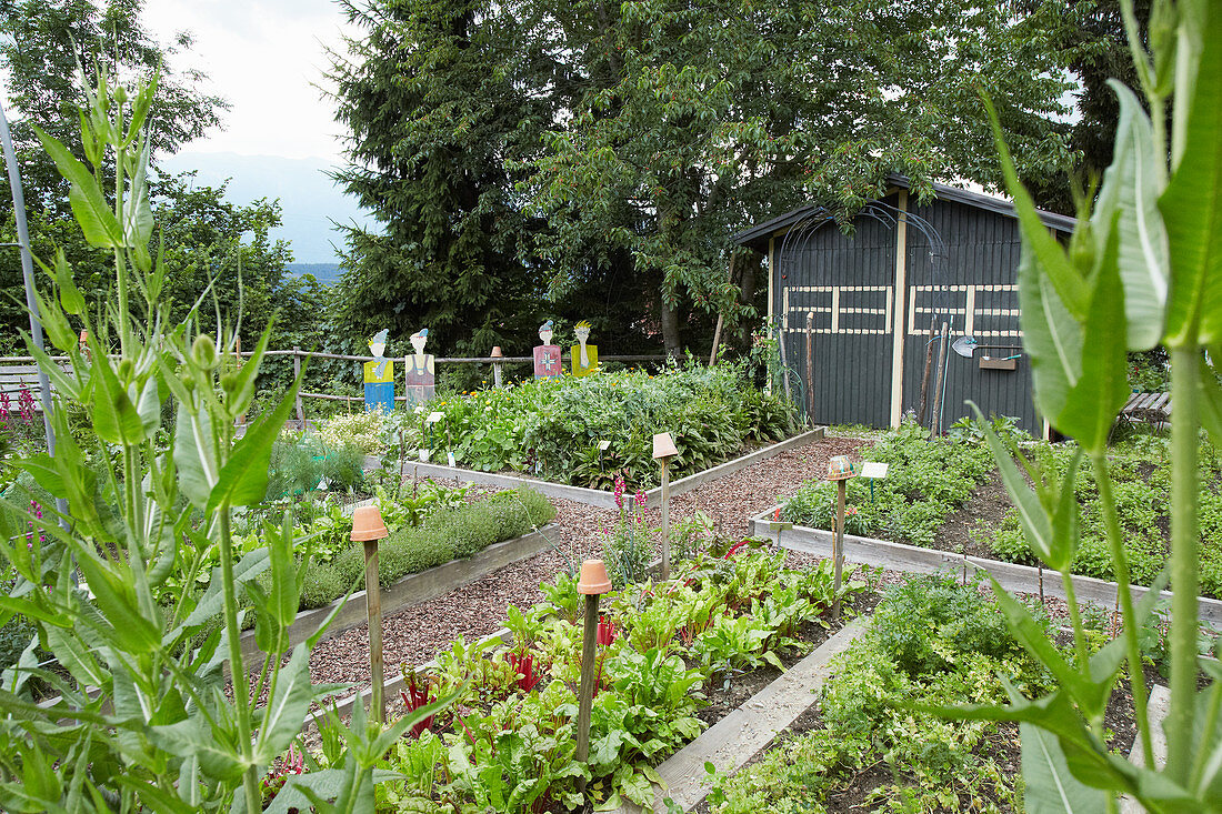 Gemüsegarten mit gekreuztem Weg und Gartenhaus