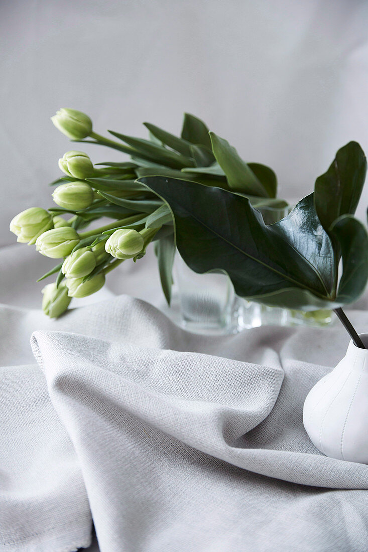 White tulips and green leaves in vases