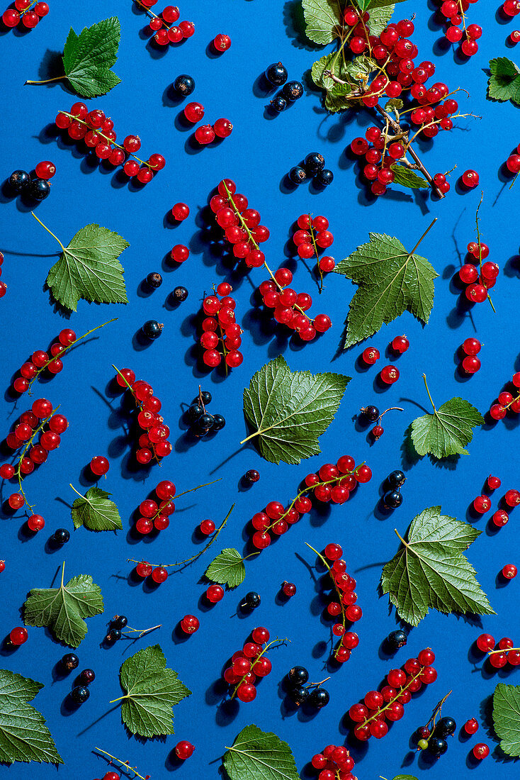 Red currants and blackcurrants flatlay