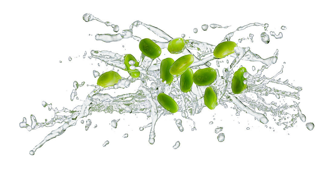 Green soya beans with a splash of water