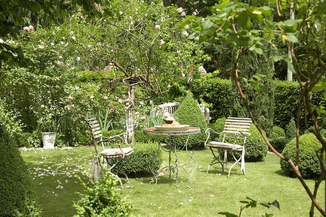 Sitzplatz im Garten zwischen Buchs und Rosen