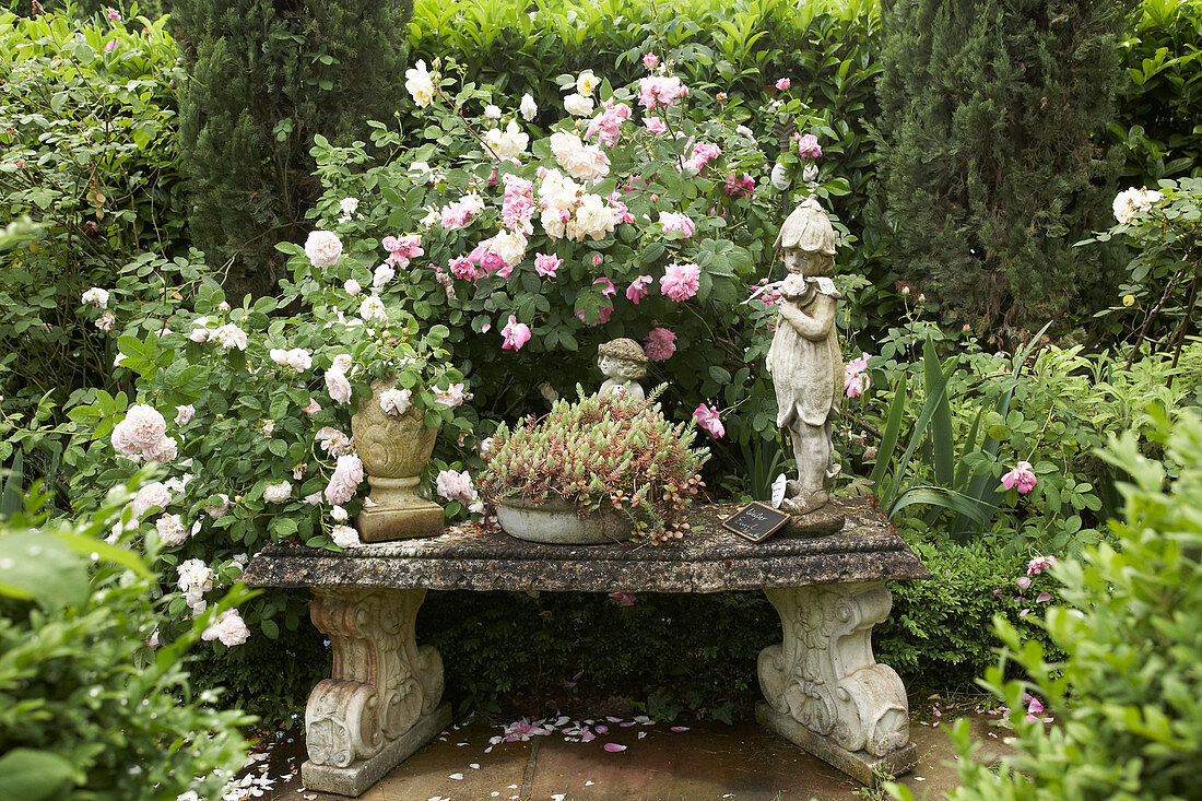 Blumenelfe auf Steinbank vor Strauchrose, Schale mit Tripmadam