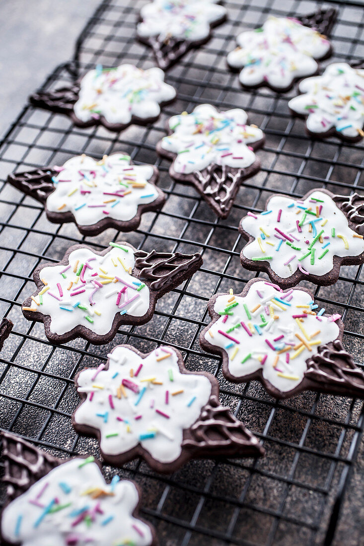 Chocolate cookies in ice cream shape