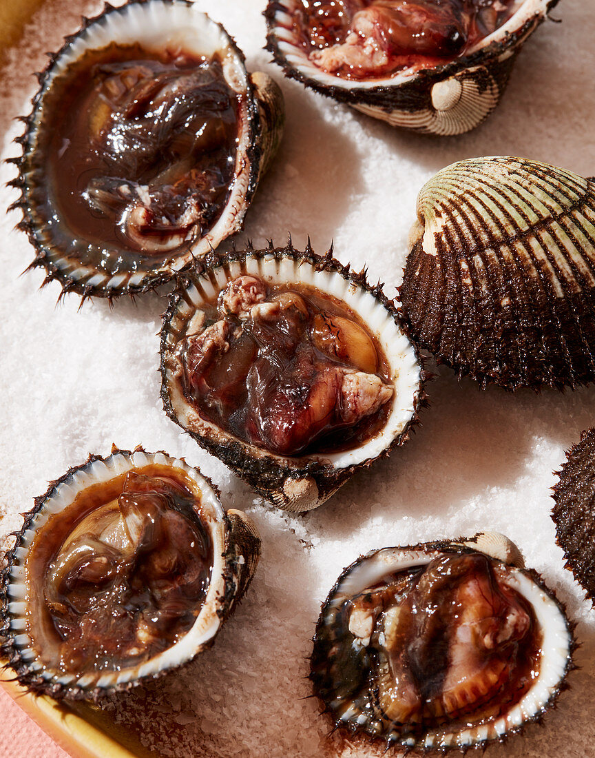 Thailändische Clams auf Salzbett